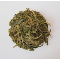 Long Jing Puits du Dragon BIO