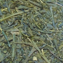 Yama cha