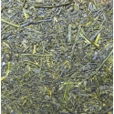 Sencha Tsuki