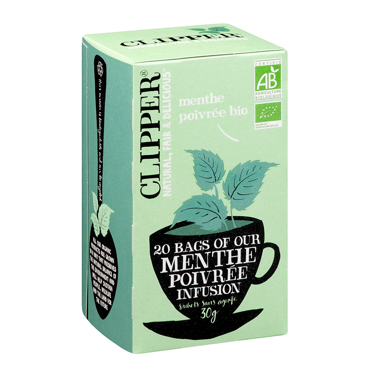 Tisane à la menthe poivrée