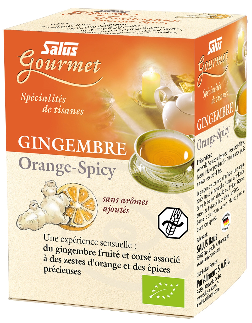 Infusion - Gingembre Orange Spicy 