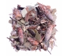 Tisane Antifrissons