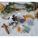 Sachet de Thé Noël X4