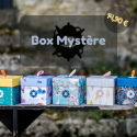 Box - Mystère -