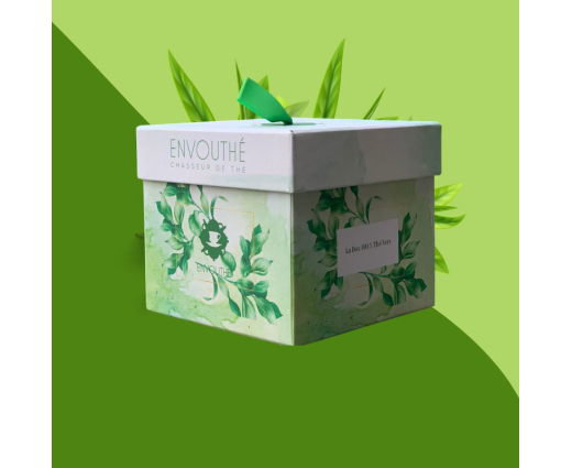 Box - 100% Thé Vert BIO - Collector
