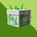 Box - 100% Thé Vert - Collector