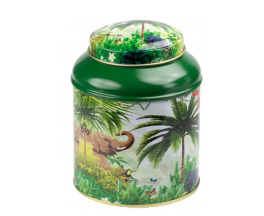 Boîte Dôme de la foret tropical - Envouthé