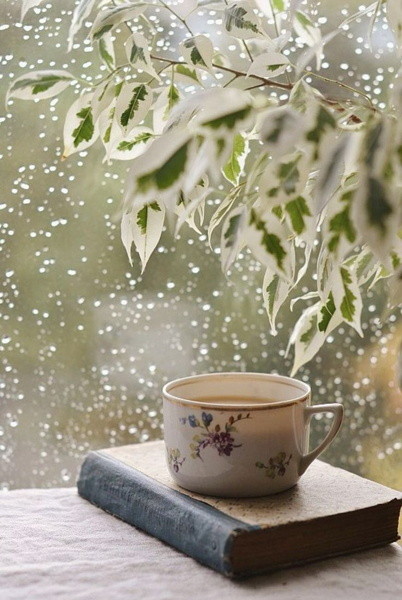 Une tasse de thé sous une branche sous la pluie