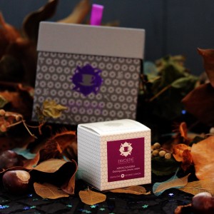 abracadabra box the envouthe
