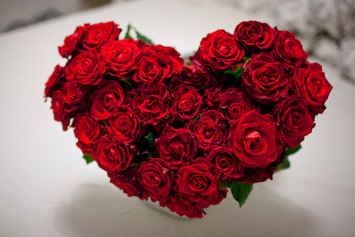 Un bouquet de roses rouges en forme de coeur