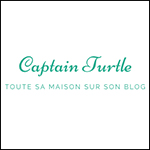 captain turtle box the envouthe