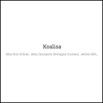 koalisa box the envouthe