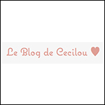 le blog de cecilou box the envouthe
