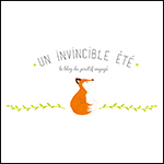 un invincible ete box the envouthe