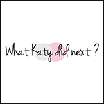 what katy did next logo box the envouthe