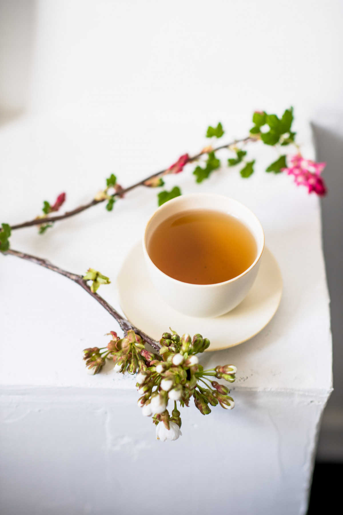 Connaissez-vous la différence entre thé et tisane ? - Envouthé
