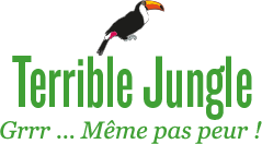 Box Terrible Jungle - Envouthe - Mai 2015